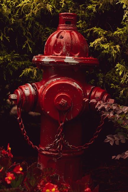 Safety and Reliability